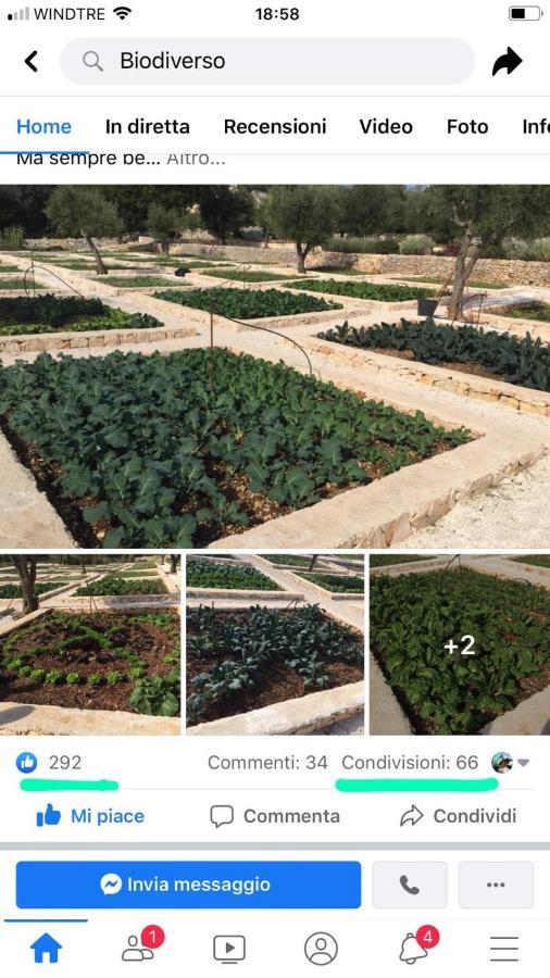 Villa Moresca Dei Trulli Fernando Ostuni Buitenkant foto