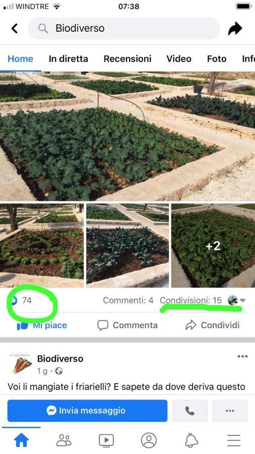 Villa Moresca Dei Trulli Fernando Ostuni Buitenkant foto